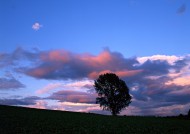 绚丽夕阳景色图片