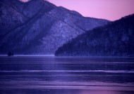 冬季树木河流风景图片