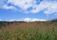 蓝天和湖水图片大全