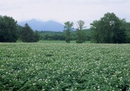蓝天和湖水图片大全