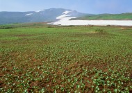 蓝天和湖水图片大全