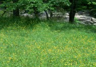 蓝天和湖水图片大全