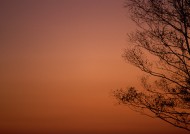 朦胧湖面倒影图片大全