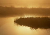 朦胧湖面倒影图片大全
