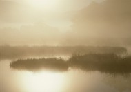 朦胧湖面倒影图片大全