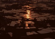 夕阳下的梯田图片