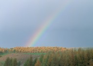 美丽的彩虹图片