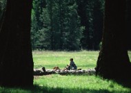 人与绿色大自然图片