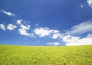 人与绿色大自然图片