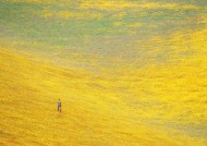 人与绿色大自然图片