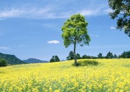 人与绿色大自然图片