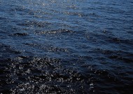 夕阳下的的海面图片