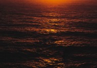 夕阳下的的海面图片