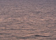 夕阳下的的海面图片