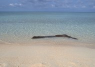 南太平洋群岛的图片