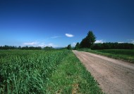 乡间小路图片