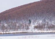 冬天的风景大全