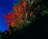 秋季风景图片大全