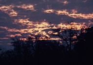 大自然的风景图片