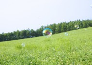 晴朗的天空和草地图片大全