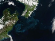 地球卫星图片大全