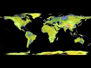 地球卫星图片大全