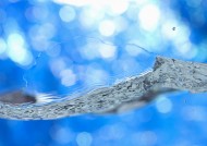 水波纹图片大全