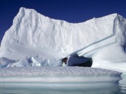 北极冰山图片大全