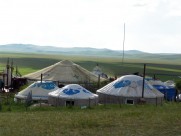 呼伦贝尔大草原图片