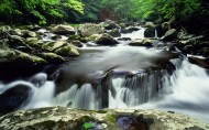 溪流图片大全