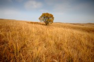 唯美内蒙古坝上草原秋季风景图片