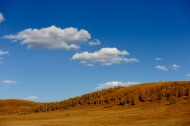 唯美内蒙古坝上草原秋季风景图片