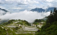 浙江丽水云和梯田自然风景图片
