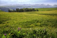 新疆天山琼库什台草原自然风景图片大全