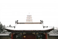 陕西西安雪景图片大全