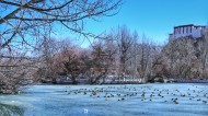 西藏拉萨冬季风景图片大全