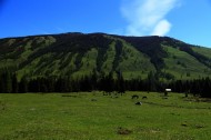 新疆喀纳斯风景图片