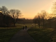 唯美城市夜景图片大全
