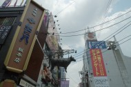日本道頓堀的图片