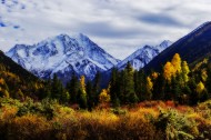 四川亚拉雪山风景图片