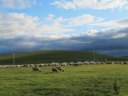 内蒙古呼伦贝尔大草原秀丽风景图片大全