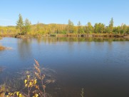 内蒙古呼伦贝尔大草原秀丽风景图片大全