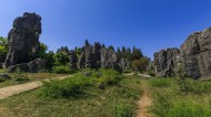 云南昆明石林风景图片