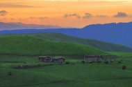 新疆特克斯草原秀丽风景图片