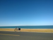 淡雅娴静的青海湖图片