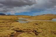 西藏班戈草原风景图片