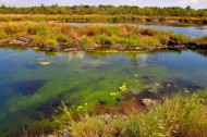 五大连池温泊风景图片