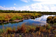 五大连池温泊风景图片