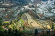 云南元阳梯田真实风景图片