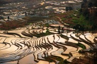 云南元阳梯田真实风景图片
